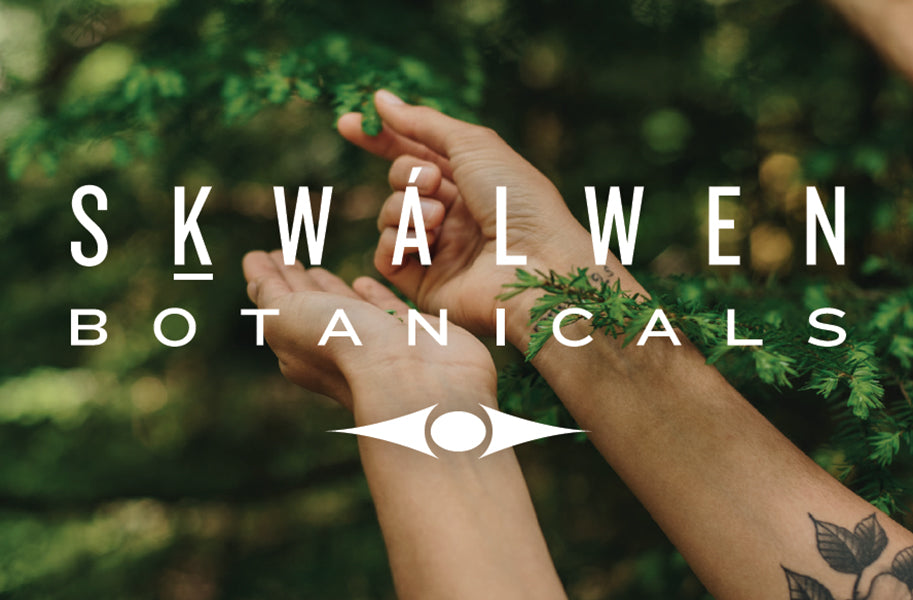 TEWÍN’XW Cleansing Clay by Sḵwálwen Botanicals