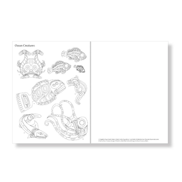 Colouring Book | Colour & Draw: Northwest Coast Native Formline by Various Artists