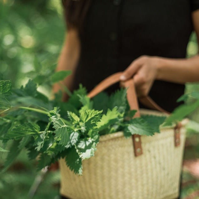 Nékwentsut Rose+Nettle+Mint Tea by Sḵwálwen Botanicals